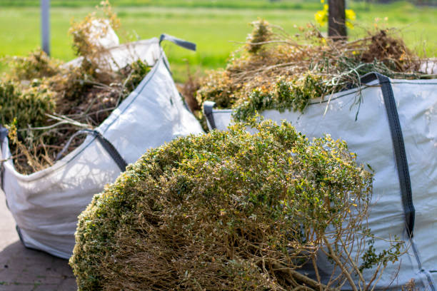 Best Shed Removal  in Fate, TX